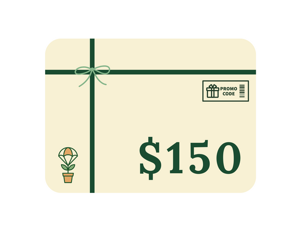 Gift a Single Season Porch Drop