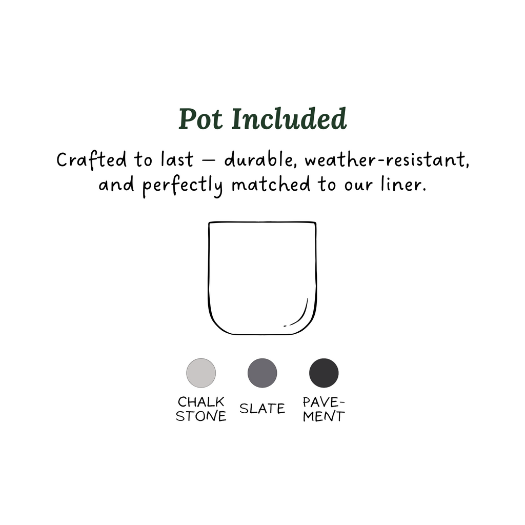 Porch Drop Club – Seasonal Planter Subscription (4 Drops)